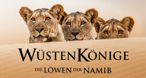 Die L&ouml;wen der Namib
