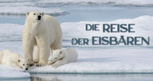 Die Reise der Eisbären (A, 2021 – )