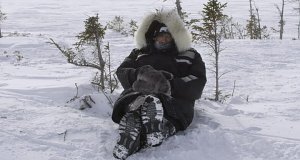 Die Reise der Eisbären
