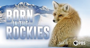 Die Rockies - Überleben in der Wildnis