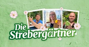 Die Strebergärtner