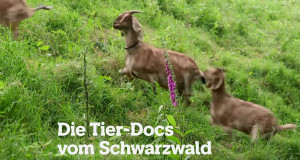 Die Tier-Docs vom Schwarzwald