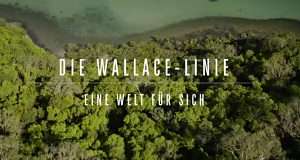 Die Wallace-Linie