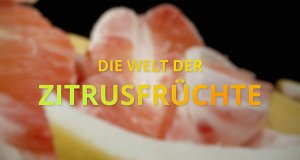 Die Welt der Zitrusfrüchte