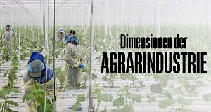 Dimensionen der Agrarindustrie