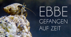 Ebbe: Gefangen auf Zeit (F, 2023 – )