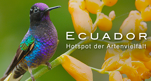 Ecuador, Hotspot der Artenvielfalt