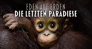 Eden auf Erden