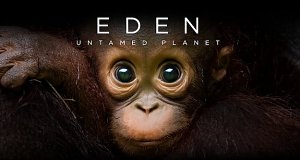 Eden auf Erden