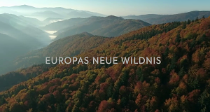 Europas neue Wildnis
