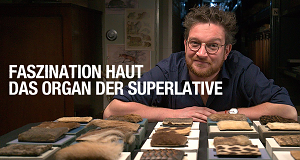 Faszination Haut