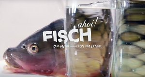 Fisch ahoi! Das Meer braucht eine Pause