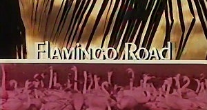 Flamingo Road