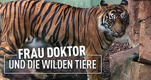 Frau Doktor und die wilden Tiere – Tiergeschichten aus dem Frankfurter Zoo (D, 2018)