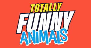 Funny Animals - Die Clipshow