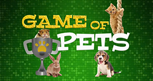 Game of Pets