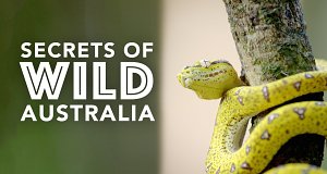 Geheimnisse des wilden Australiens