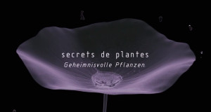 Geheimnisvolle Pflanzen (F, 2010 – )