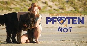 Haustierhelden - Pfoten in Not