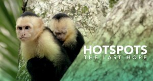 Hotspots der Tierwelt