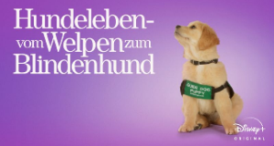 Hundeleben - Vom Welpen zum Blindenhund