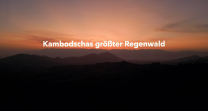 Kambodschas größter Regenwald