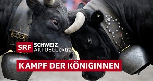 Kampf der Königinnen