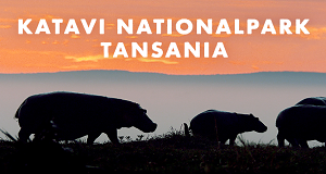 Katavi Nationalpark Tansania