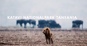 Katavi Nationalpark Tansania