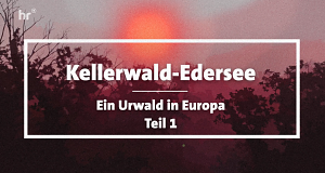 Kellerwald-Edersee - Ein Urwald in Europa