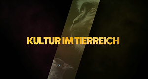 Kultur im Tierreich