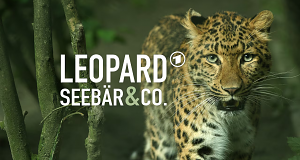 Leopard, Seebär & Co.