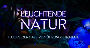 Leuchtende Natur