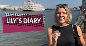 Lily's diary