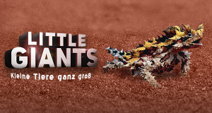 Little Giants - Kleine Tiere ganz groß (USA, 2019 – )