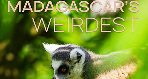 Madagaskars tierische Freaks