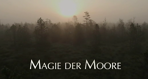 Magie der Moore