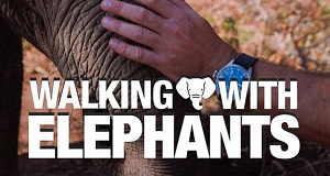 Meine Reise mit den Elefanten