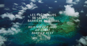 Meister der Jagd am Great Barrier Reef
