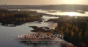 Metamorphosen - Die Wildnis kehrt zurück