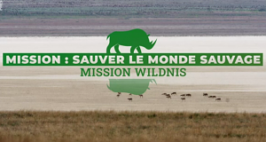 Mission Wildnis