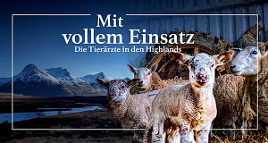 Mit vollem Einsatz - Die Tierärzte in den Highlands