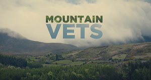 Mountain Vets: Einsatz in Nordirland