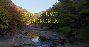 Naturjuwel Südkorea