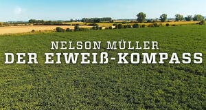 Nelson Müller: Der Kompass