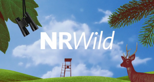NRWild