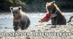 Oasen der Artenvielfalt (F, 2016 – )