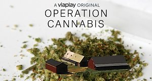 Operation Cannabis