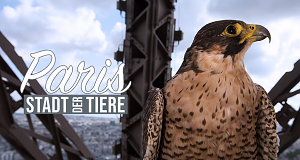 Paris - Stadt der Tiere