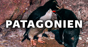 Patagonien - Auf den Spuren von Charles Darwin